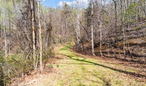 Photo #39 of 1374 Moccasin Rd, Thaxton, VA 142.0 acres