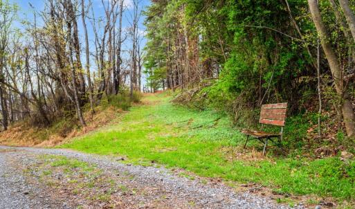 Photo #78 of 1374 Moccasin Rd, Thaxton, VA 142.0 acres