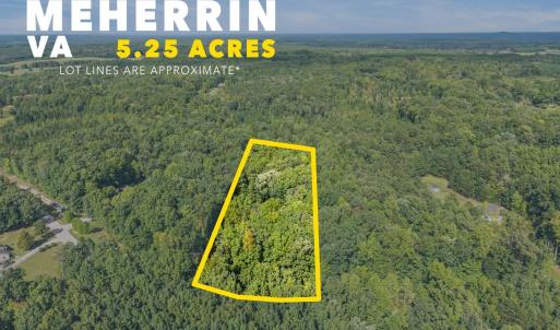 Photo #3 of 216 Whispering Wood Road, Meherrin, VA 5.3 acres