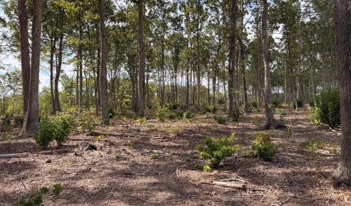 Photo #45 of 3678 Long Island Road, Gladys, VA 69.5 acres
