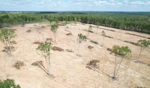 Photo #43 of 3678 Long Island Road, Gladys, VA 69.5 acres