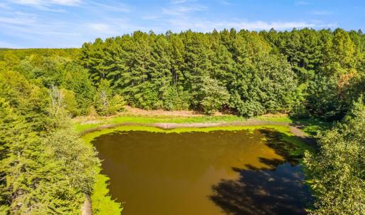 Photo #6 of 11271 Kentuck Road, Sutherlin, VA 574.4 acres
