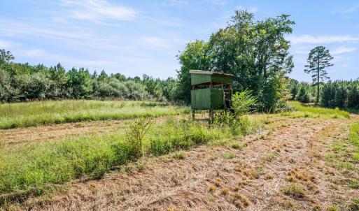 Photo #62 of 11271 Kentuck Road, Sutherlin, VA 574.4 acres