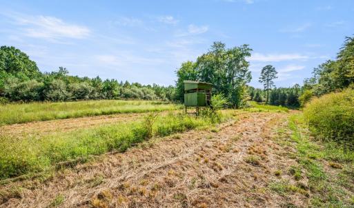 Photo #63 of 11271 Kentuck Road, Sutherlin, VA 574.4 acres