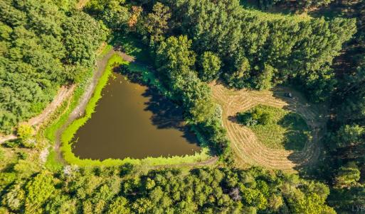 Photo #46 of 11271 Kentuck Road, Sutherlin, VA 574.4 acres