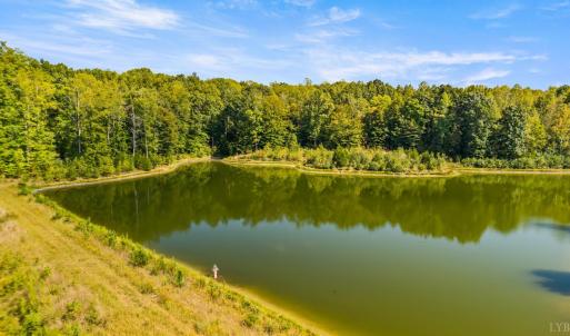 Photo #30 of 11271 Kentuck Road, Sutherlin, VA 574.4 acres