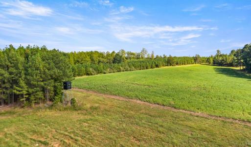 Photo #39 of 11271 Kentuck Road, Sutherlin, VA 574.4 acres