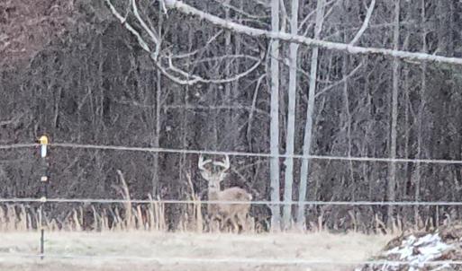 Photo #78 of 8882 Spring Mill Road, Concord, VA 21.1 acres