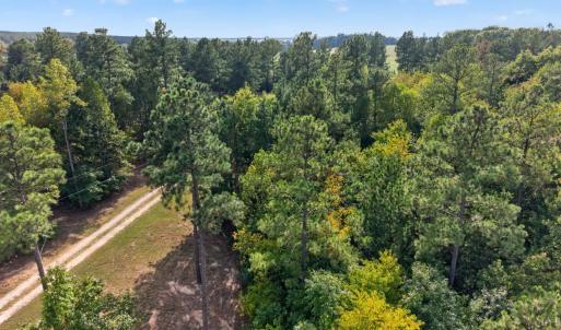 Photo #61 of 8882 Spring Mill Road, Concord, VA 21.1 acres