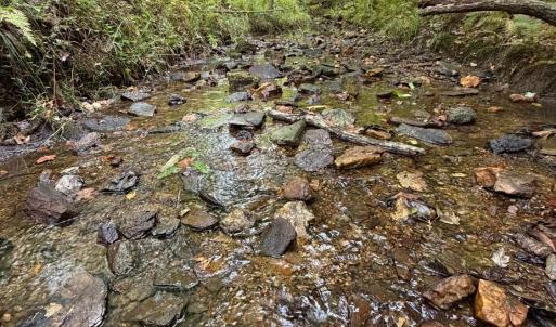 Photo #71 of 8882 Spring Mill Road, Concord, VA 21.1 acres