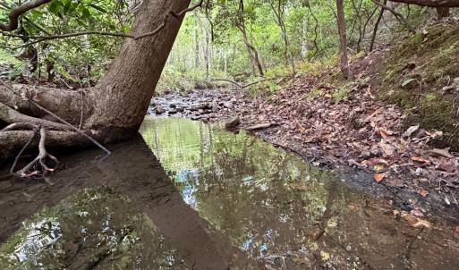Photo #72 of 8882 Spring Mill Road, Concord, VA 21.1 acres