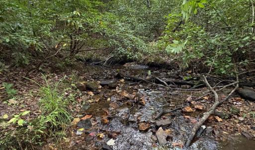 Photo #73 of 8882 Spring Mill Road, Concord, VA 21.1 acres