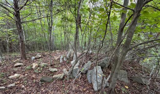 Photo #66 of 8882 Spring Mill Road, Concord, VA 21.1 acres