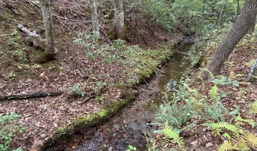 Photo #74 of 8882 Spring Mill Road, Concord, VA 21.1 acres