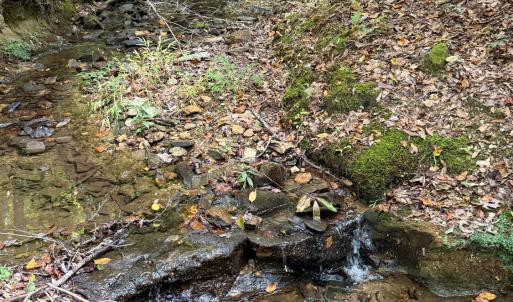Photo #68 of 8882 Spring Mill Road, Concord, VA 21.1 acres