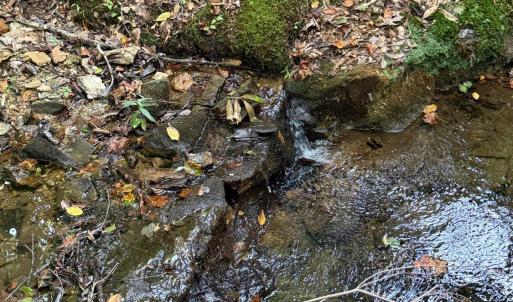 Photo #75 of 8882 Spring Mill Road, Concord, VA 21.1 acres