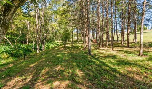 Photo #45 of 4424 Goode Road, Goode, VA 1.3 acres