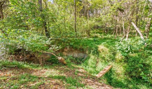 Photo #46 of 4424 Goode Road, Goode, VA 1.3 acres