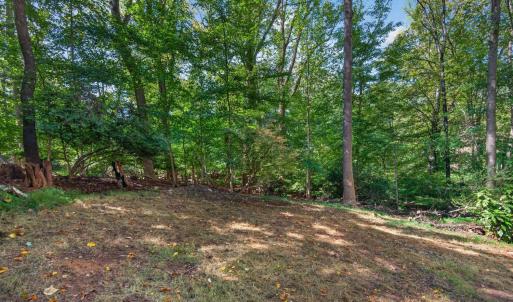Photo #42 of 825 Mohawk Drive, Lynchburg, VA 1.6 acres