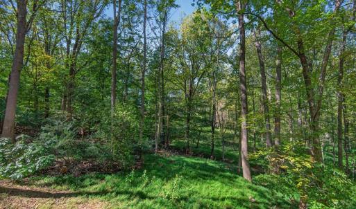 Photo #39 of 825 Mohawk Drive, Lynchburg, VA 1.6 acres