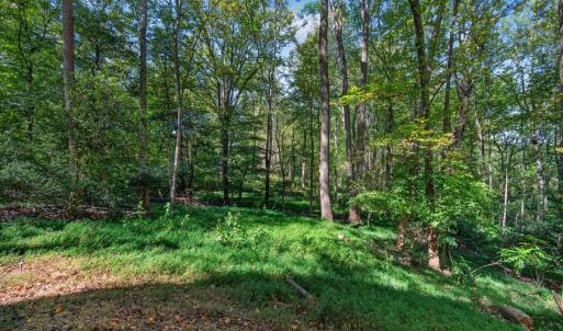 Photo #46 of 825 Mohawk Drive, Lynchburg, VA 1.6 acres