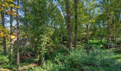 Photo #40 of 825 Mohawk Drive, Lynchburg, VA 1.6 acres