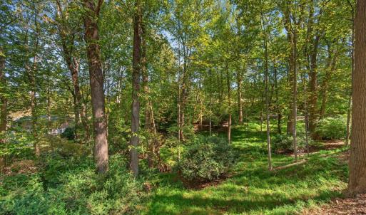 Photo #38 of 825 Mohawk Drive, Lynchburg, VA 1.6 acres