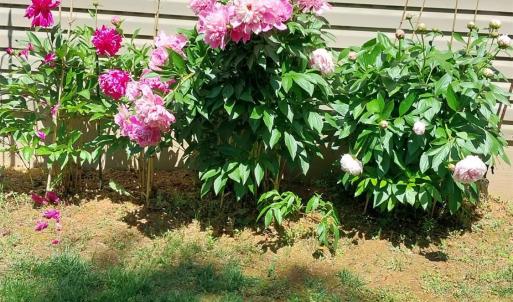 Photo #18 of 4243 Tye River Road, Amherst, VA 11.6 acres