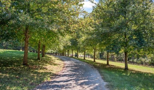 Photo #87 of 929 Wilson Hill Road, Arrington, VA 4.3 acres