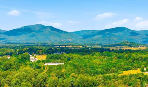 Photo #31 of 1209 Crossing Court, Bedford, VA 0.2 acres