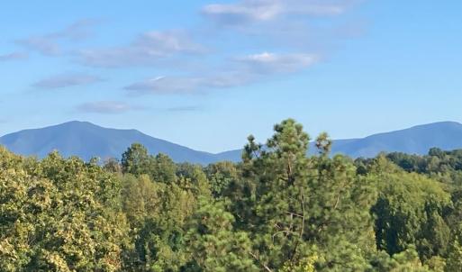 Photo #32 of 1209 Crossing Court, Bedford, VA 0.2 acres