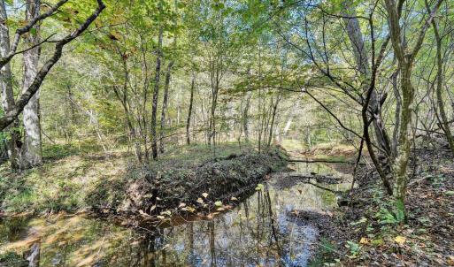 Photo #48 of 143 Father Judge Road, Amherst, VA 8.0 acres