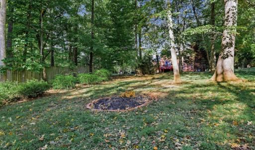 Photo #46 of 105 Stirling Court, Forest, VA 1.0 acres