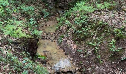Photo #62 of 5687 Elon Road, Monroe, VA 24.2 acres