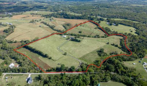 Photo #3 of 1687 Pilgrim Road, Goode, VA 54.0 acres