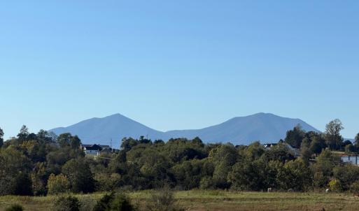 Photo #53 of 1687 Pilgrim Road, Goode, VA 54.0 acres