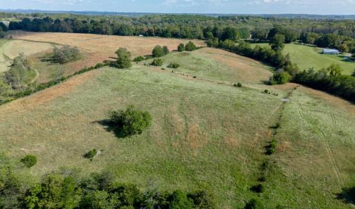 Photo #87 of 1687 Pilgrim Road, Goode, VA 54.0 acres