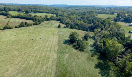 Photo #83 of 1687 Pilgrim Road, Goode, VA 54.0 acres