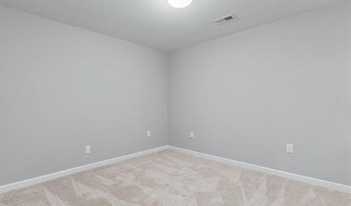Photo #28 of 1136 Laughlin Lane, Forest, VA 3.5 acres