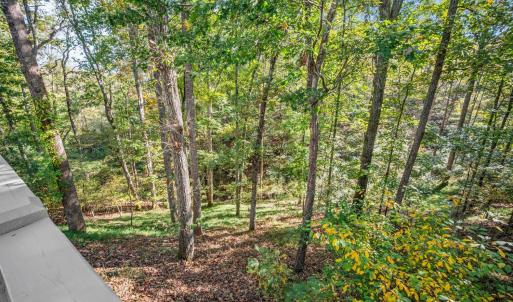 Photo #63 of 188 Lake Drive, Amherst, VA 0.5 acres