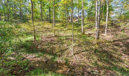 Photo #64 of 188 Lake Drive, Amherst, VA 0.5 acres