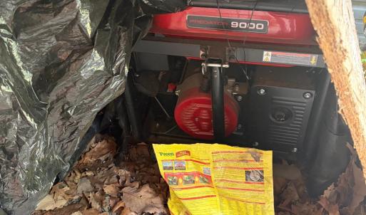 generator will stay with home