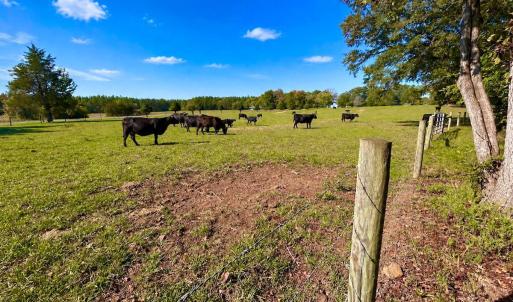 Photo #2 of 1361 Markham Rd, Gretna, VA 19.0 acres