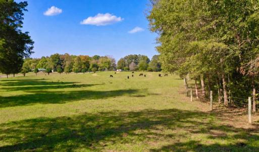 Photo #78 of 1361 Markham Rd, Gretna, VA 19.0 acres