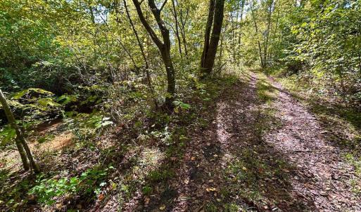 Photo #73 of 1361 Markham Rd, Gretna, VA 19.0 acres
