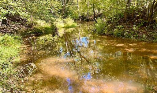 Photo #72 of 1361 Markham Rd, Gretna, VA 19.0 acres