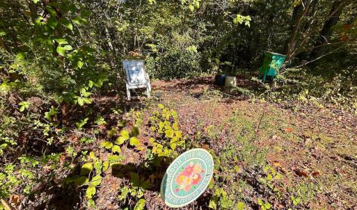 Photo #51 of 1361 Markham Rd, Gretna, VA 19.0 acres