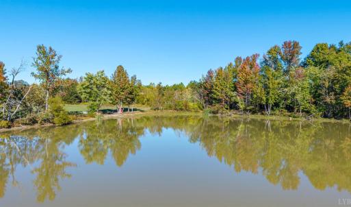 Photo #5 of 420 Watlington Road, Gretna, VA 8.8 acres