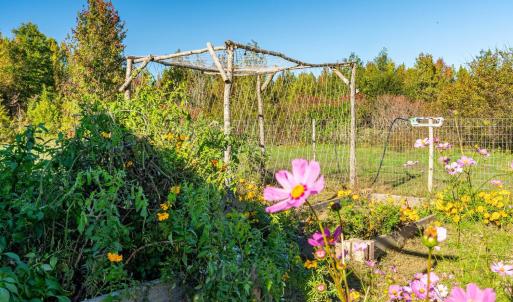 Photo #65 of 420 Watlington Road, Gretna, VA 8.8 acres