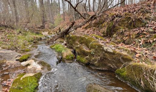 Photo #54 of 115 Foxwood Drive, Goode, VA 10.8 acres